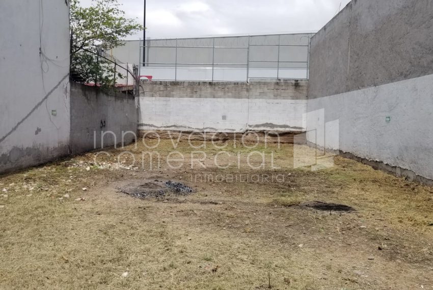 Imagen de WhatsApp 2025-06-17 a las 10.58.10_cd45464c