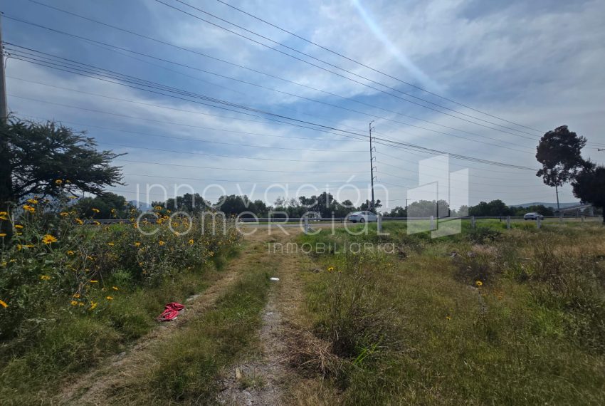 WhatsApp Image 2025-10-30 at 12.48.30