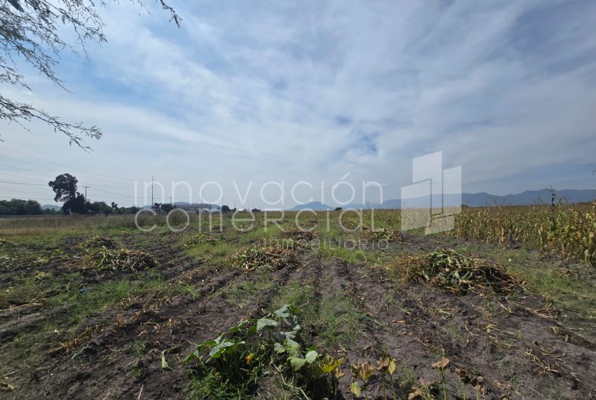 WhatsApp Image 2025-10-30 at 12.48.32