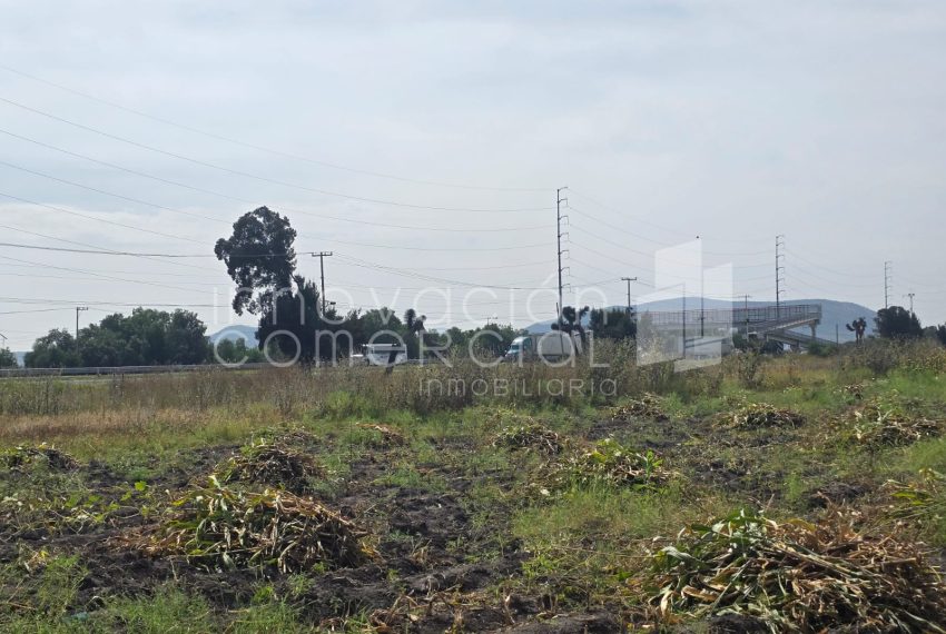 WhatsApp Image 2025-10-30 at 12.48.39