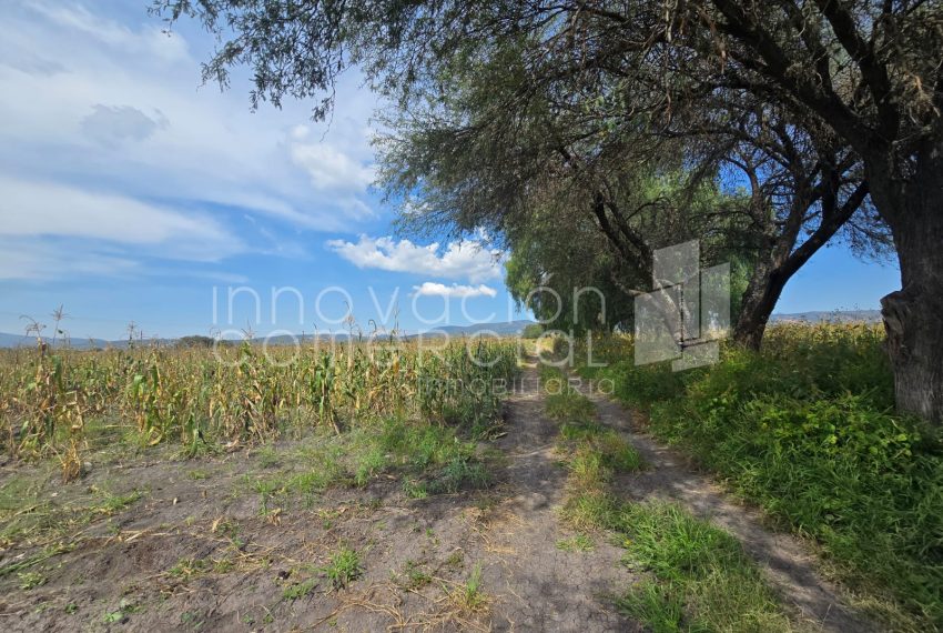 WhatsApp Image 2025-10-30 at 12.48.40 (1)