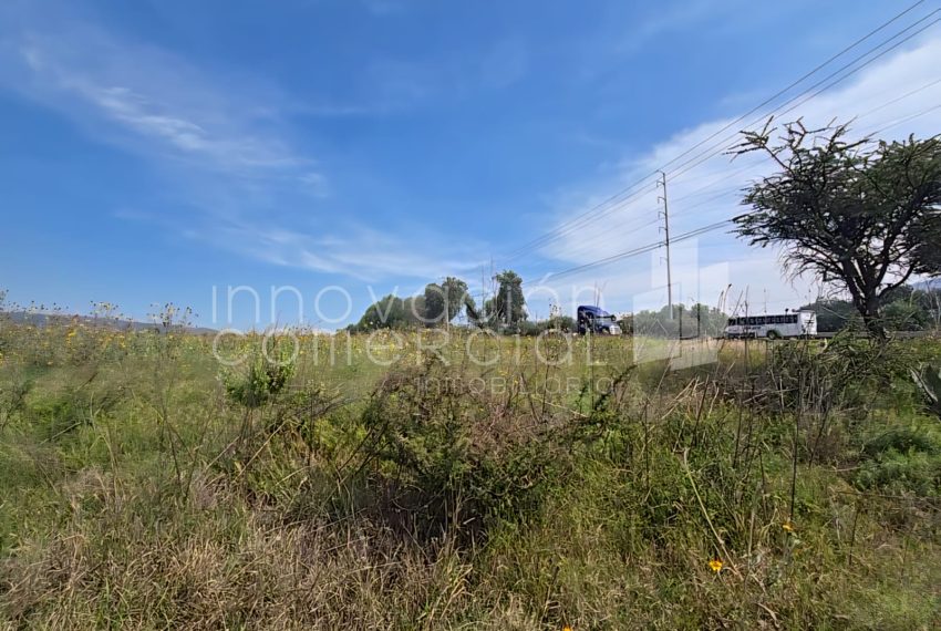 WhatsApp Image 2025-10-30 at 12.48.40 (2)