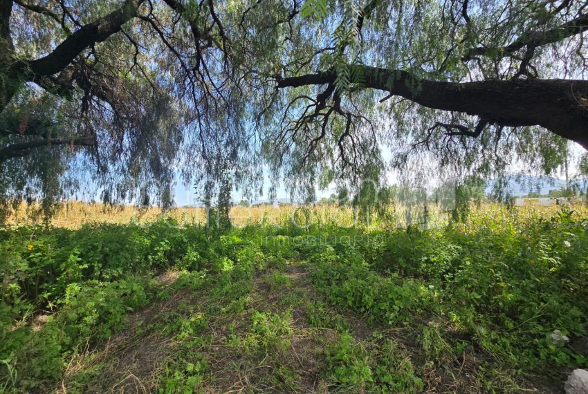 WhatsApp Image 2025-10-30 at 12.48.40